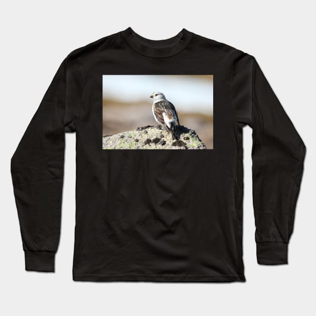 Snow bunting Long Sleeve T-Shirt by orcadia